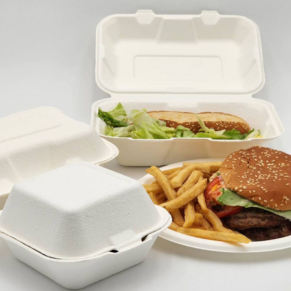 renewablesbrand-compostable-reusable-fork-heavy-duty-600-9FKC65-2-W